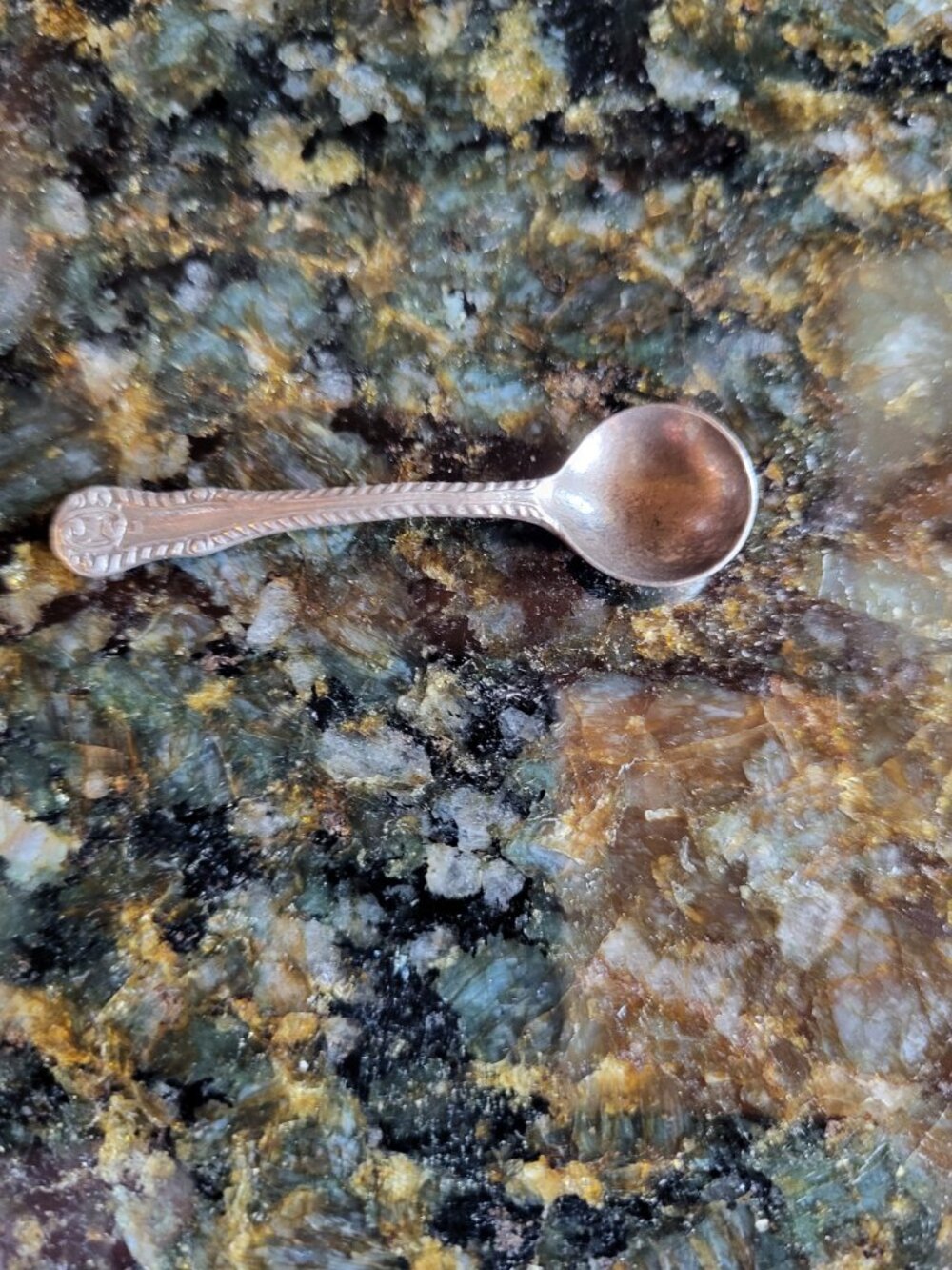 Antique L&S Lion Z Anchor 2.5 inch Silver Spoon - First Time Offered!!